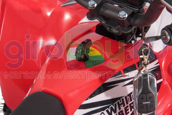 Детский электроквадроцикл WHITE SIBERIA SNEG LETO R 1000W - Красный