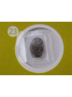 Набор микропрепаратов Levenhuk LabZZ P12, растения