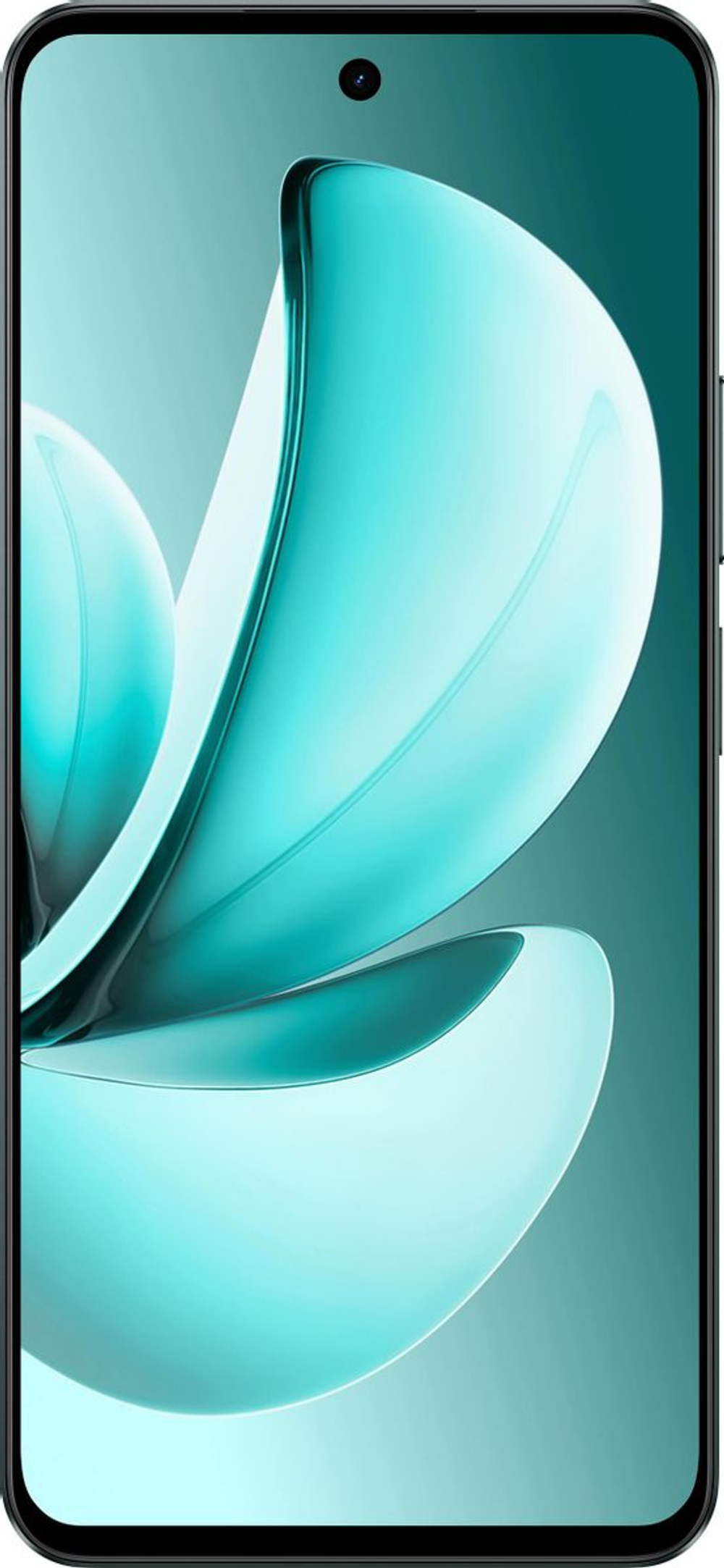 Смартфон Realme C71 8/256GB Dark Green