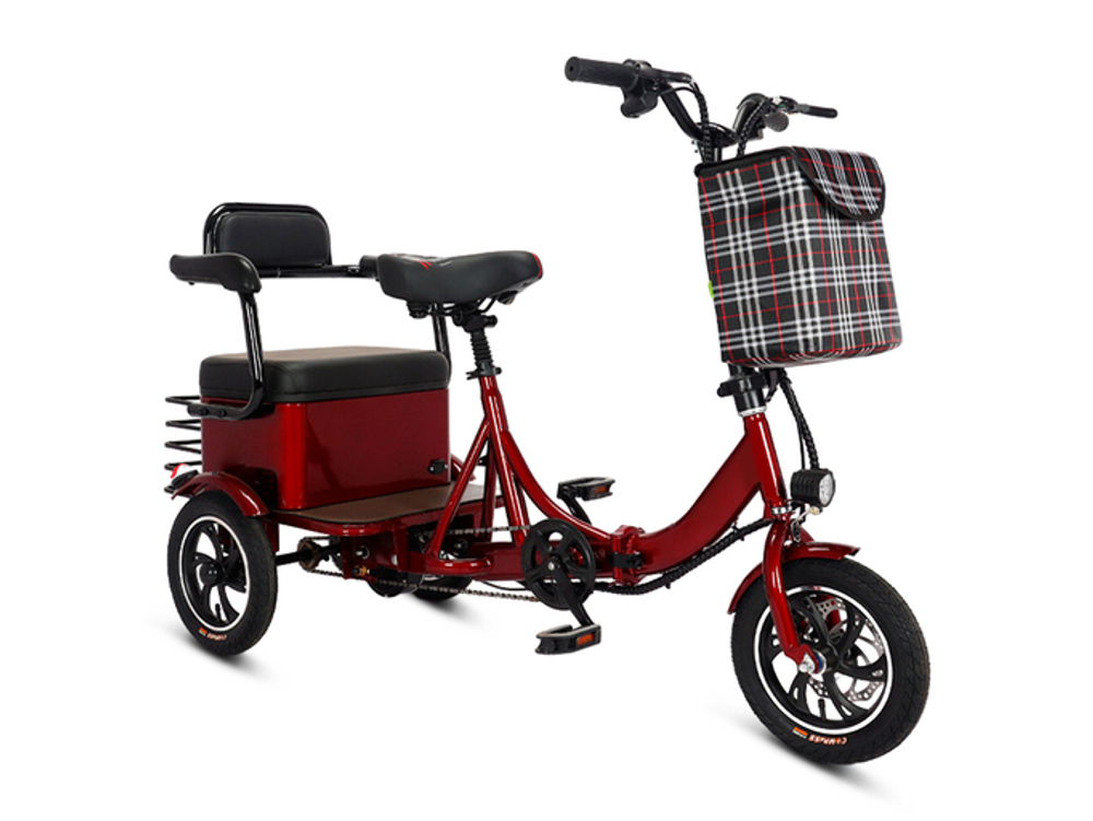 Трехколесный двухместный электровелосипед ZIT
