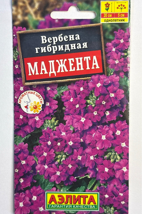 Вербена Маджента СМЦ-649