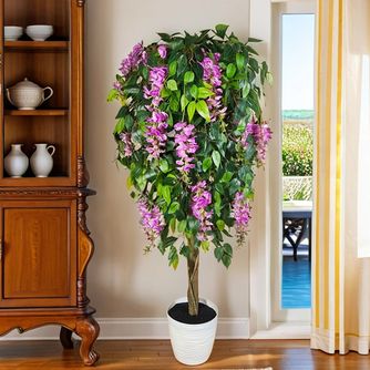 Глициния и Акация