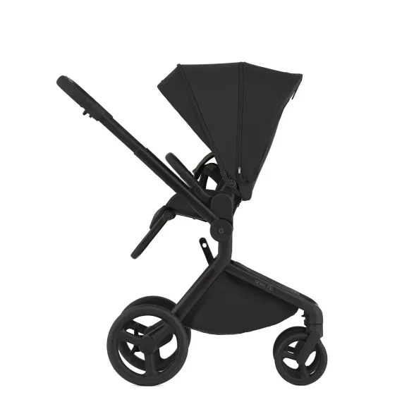 Коляска ANEX Flo 3 в 1 Lungo