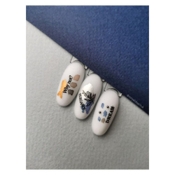 Swanky Stamping Пластина для стемпинга 111-