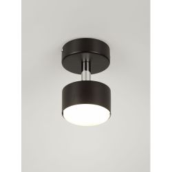 Светильник настенно-потолочный спот Rivoli Alesta 7079-701 1хGX53 15 Вт поворотный | Споты-Подсветки
