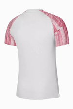 Футболка Nike Dri-FIT Academy