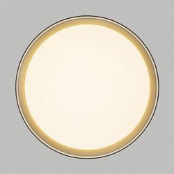 Накладной светильник Citilux BOSS CL751351G