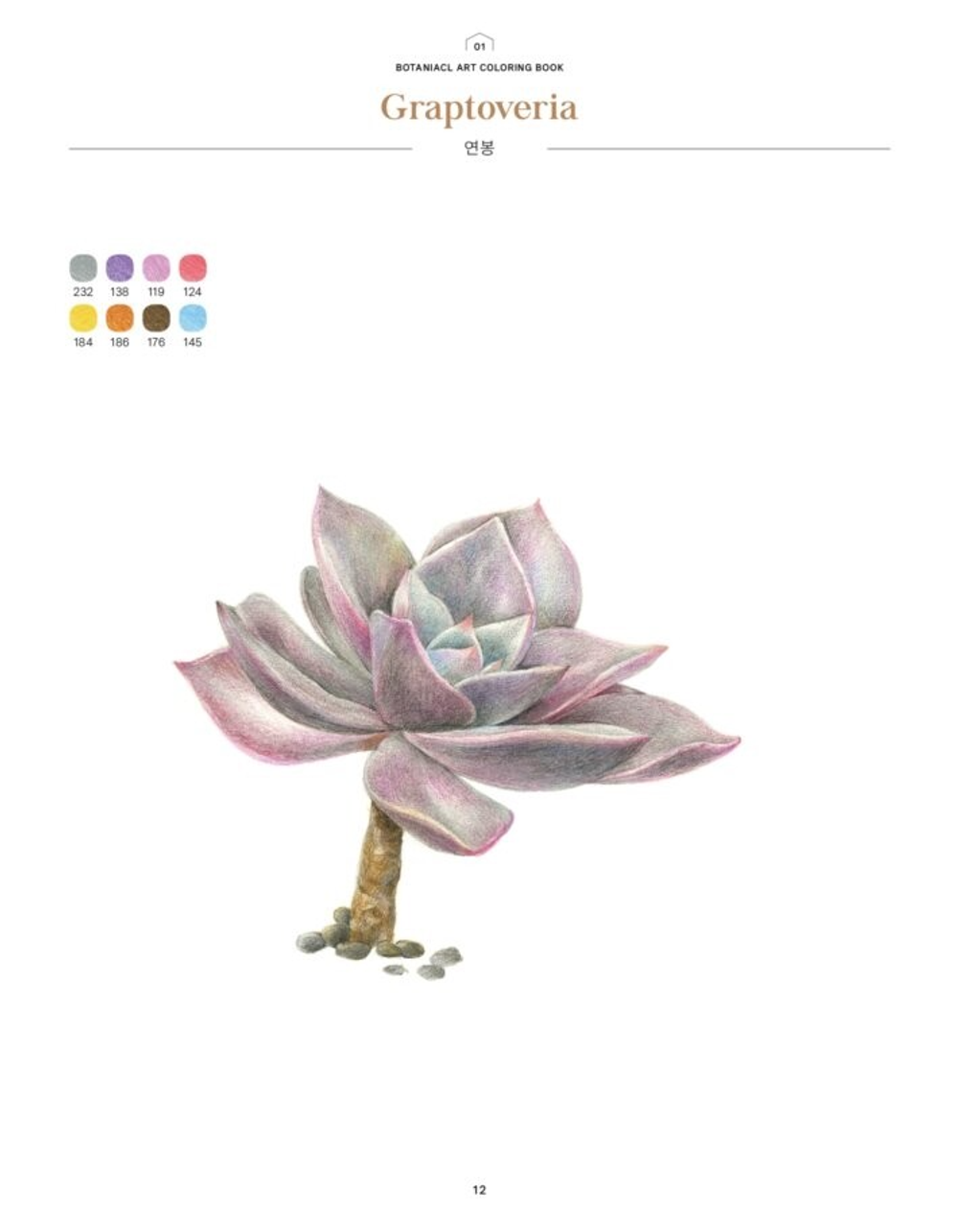 Fine Flower Botanical Art. Coloring book