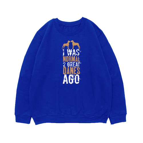 Свитшот "Был нормальным 2 Дога назад"