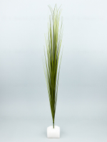 Осока БИГ 80см