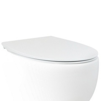 Крышка-сиденье для унитаз c микролифтом SoftClose AeT Dot 2.0 цвет белый