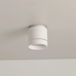 Citilux Борн CL745020N LED Светильник накладной Белый