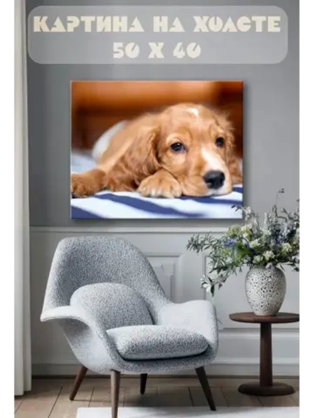 Картина на стену 40 X 50 Собака