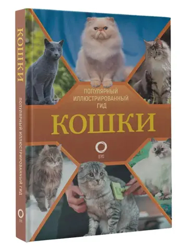 Кошки