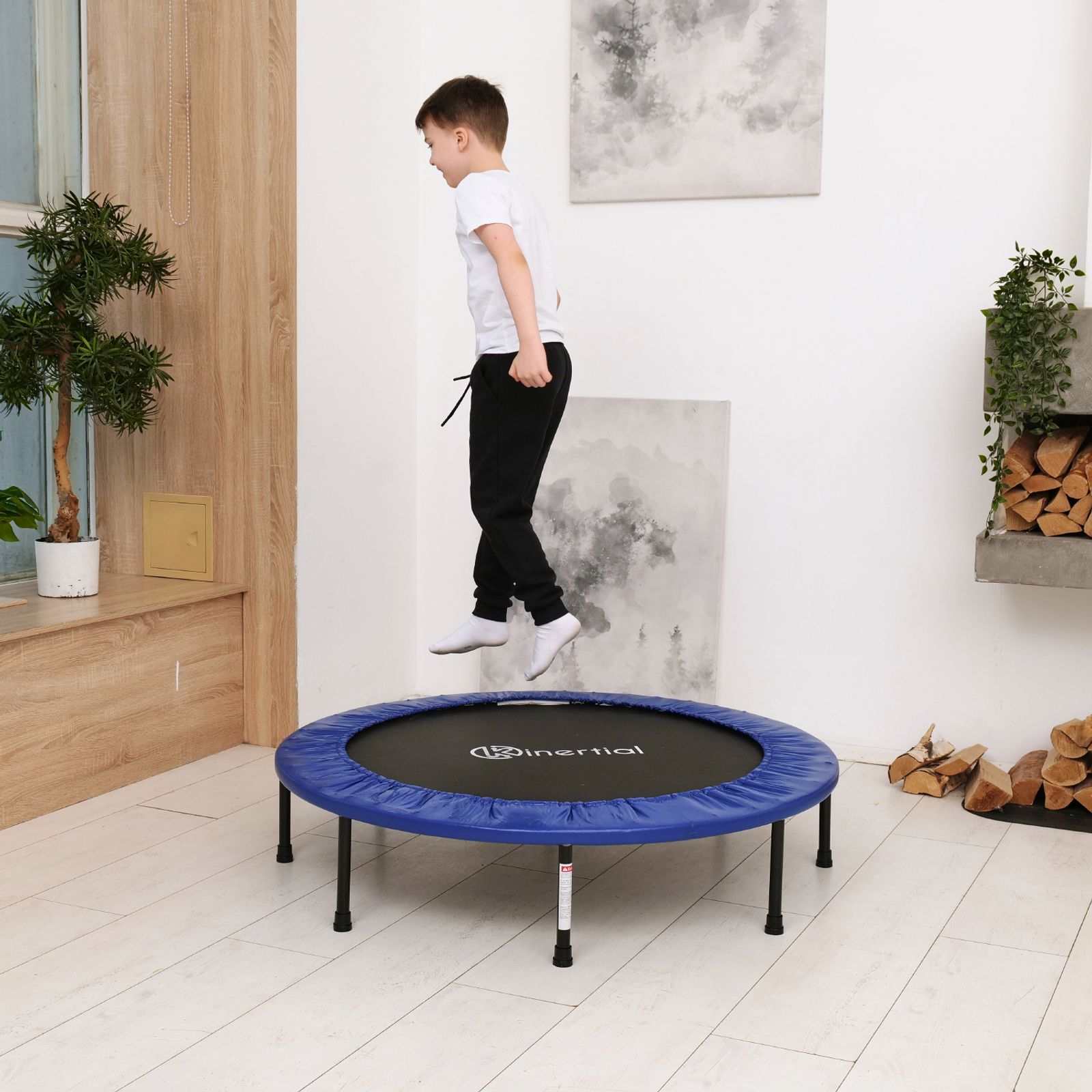 Батут DFC Kinertial 48'' синий фото №18