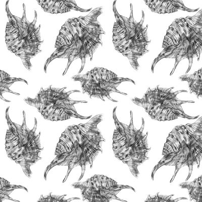 Паттерн  ракушки