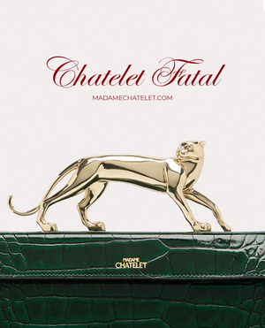 ВЕЧЕРНИЕ СУМКИ