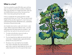 A Ladybird Book: Trees