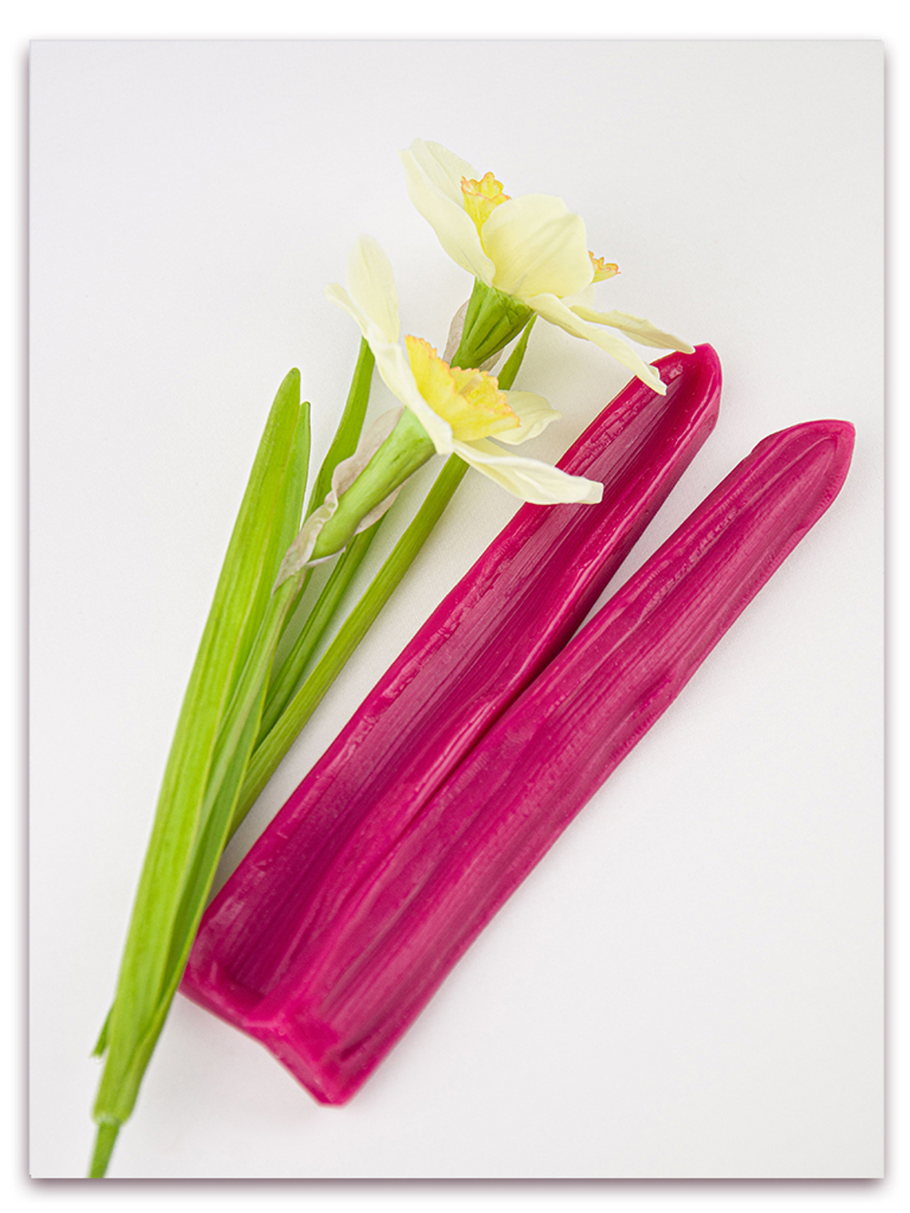 Комлект для лепки нарциссов