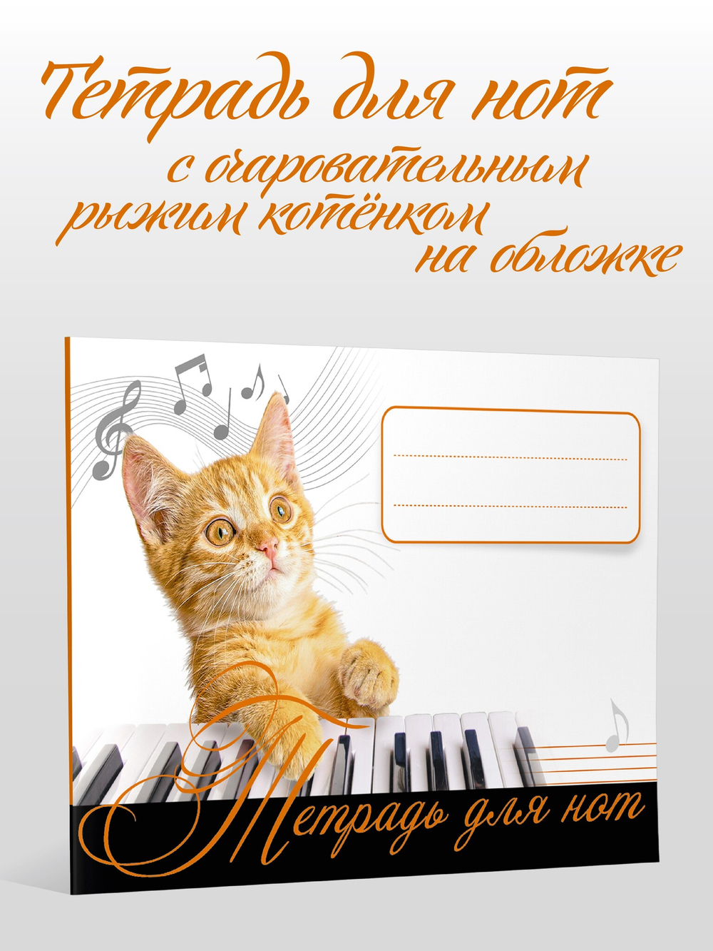 Тетрадь для нот. Рыжий кот