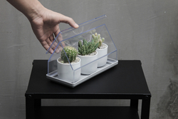 Лоток для выращивания растений micro green house, прозрачный