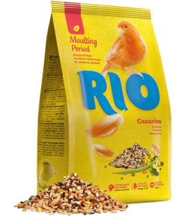 Рио Канарейки в период линьки 500гр.