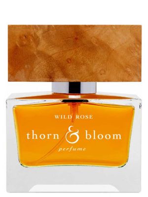 Thorn and Bloom Wild Rose