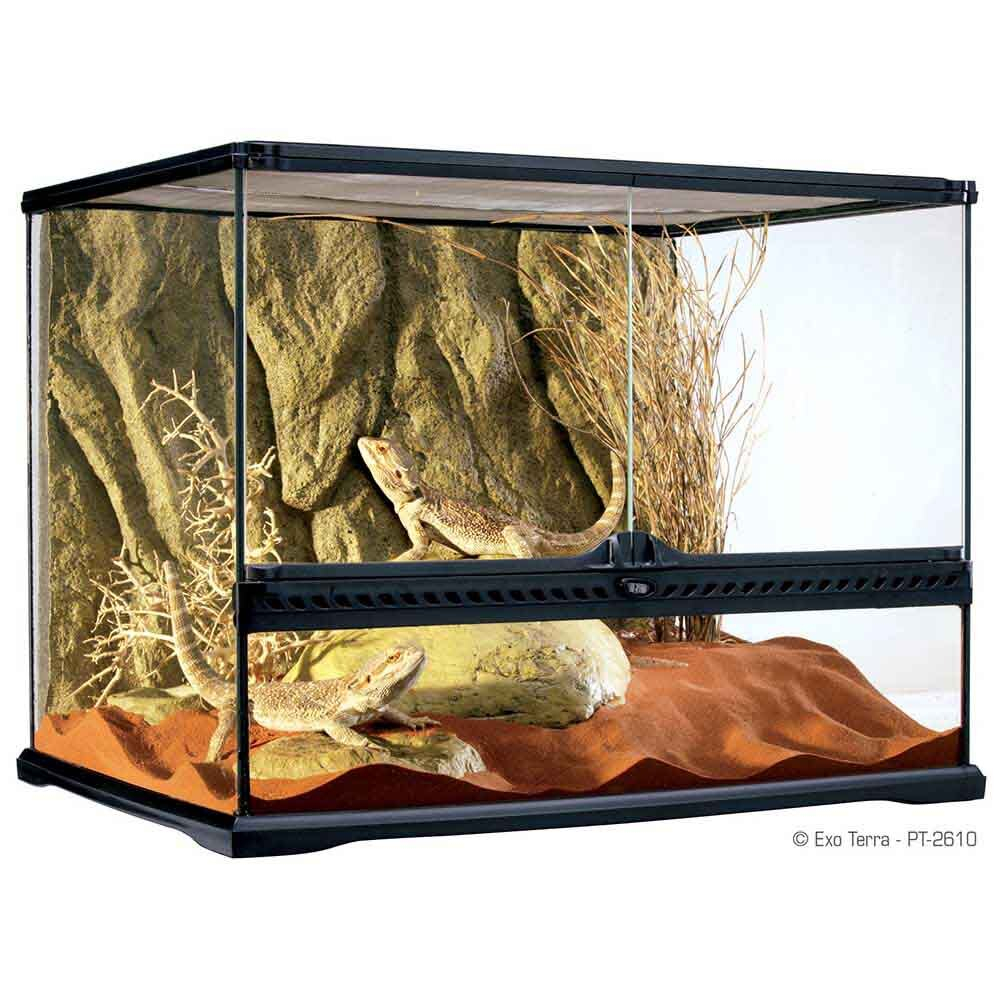 Hagen Exo Terra Terrarium Medium Wide - террариум из стекла 60x45x45см с дверцами, покровной сеткой и декоративным фоном