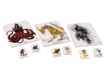 Pathfinder. Настольная ролевая игра. Расколотая звезда. Набор фишек