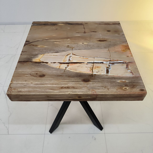 Столешница из окаменелого дерева ST-64188 Богор (0149) 50*50*15