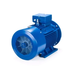 Электродвигатель ESQ 200 L4-SDN- 30/1500 IMB35