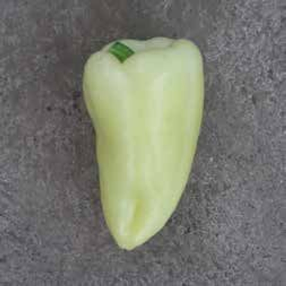 АККОРД F1 семена перца сладкого Hazera цена – фото 3