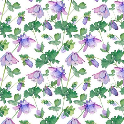 Полевые весенние цветы