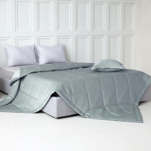 Покрывало + наволочка BuyFlora Steel