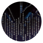 Дневник школьный 48л "Енот" (Феникс+)