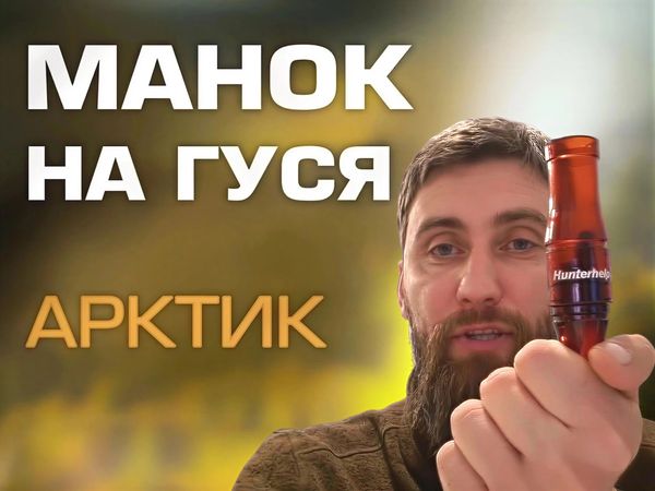 Как манить гуся