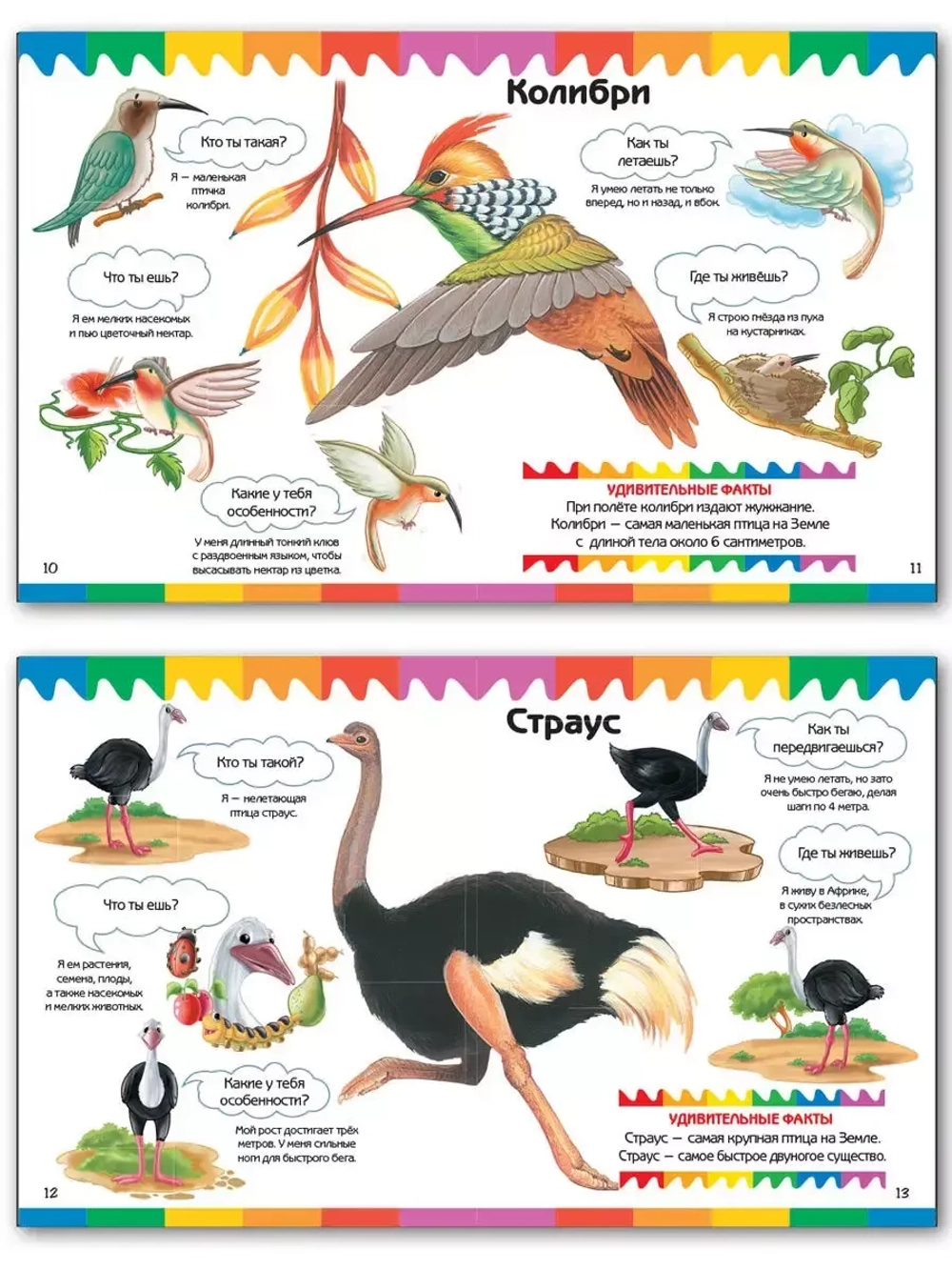 Птицы. Мои первые Вопросы и Ответы