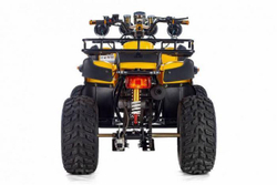 TIGER SPORT 250