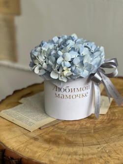 Композиция из нежно - голубой гортензии в шляпной коробке «Любимой Мамочке»