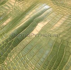 Кожа крокодила SK-40