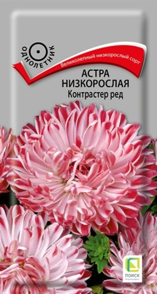 Астра низкоросл. Контрастер Ред 0,1гр Поиск