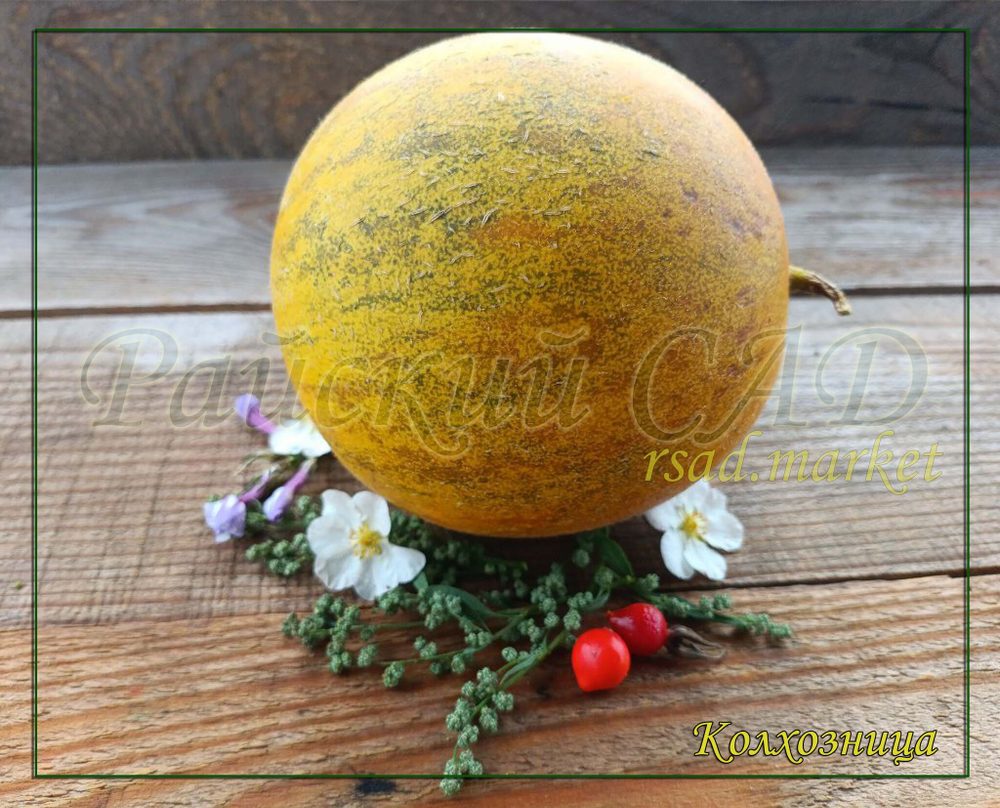 Дыня Колхозница/Сем Алт/цп 1 гр.