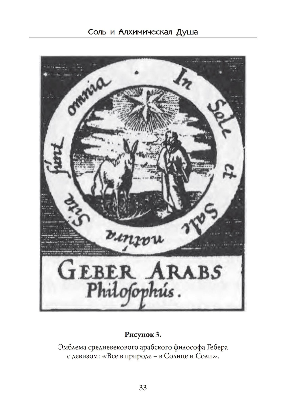 Соль и Алхимическая душа (PDF)