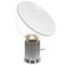 Настольная лампа Loft IT Taccia 10294/S Silver