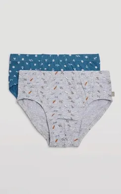 18392 Трусы детские 2 шт. в упаковке