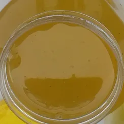 Мед Донниковый 1 кг