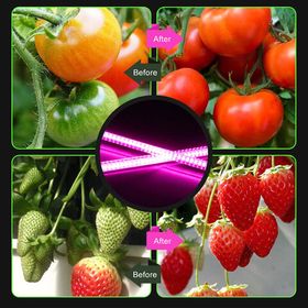 лампы полного спектра для выращивания растений