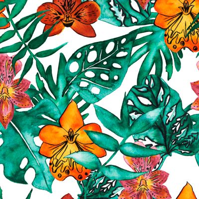 Орхидеи и пальмы