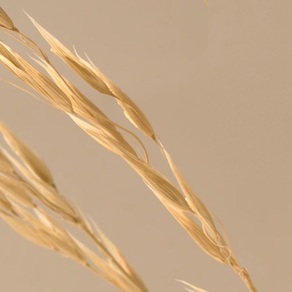 Phymongshe Омолаживающий эликсир The First Hydro Elixir 30 мл