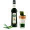 Sirop Pandan